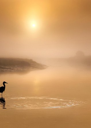 flicker